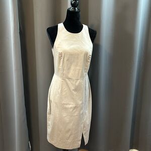 Banana Republic Dress Sz6